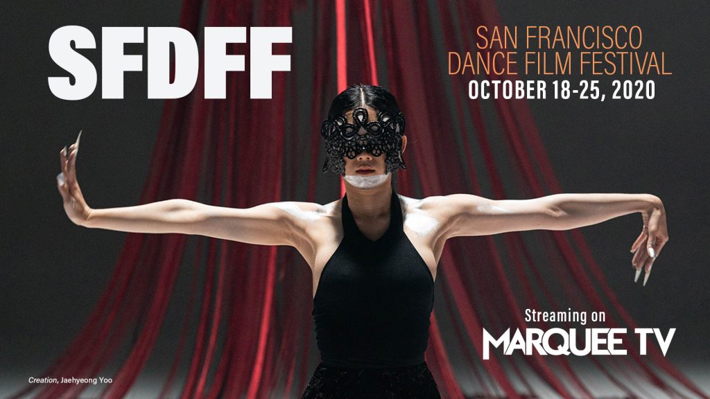 2020 SFDFF Festival banner image