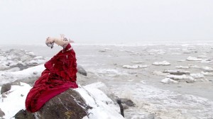 Glace crevasse et dérive 2014 San Francisco Dance Film Festival