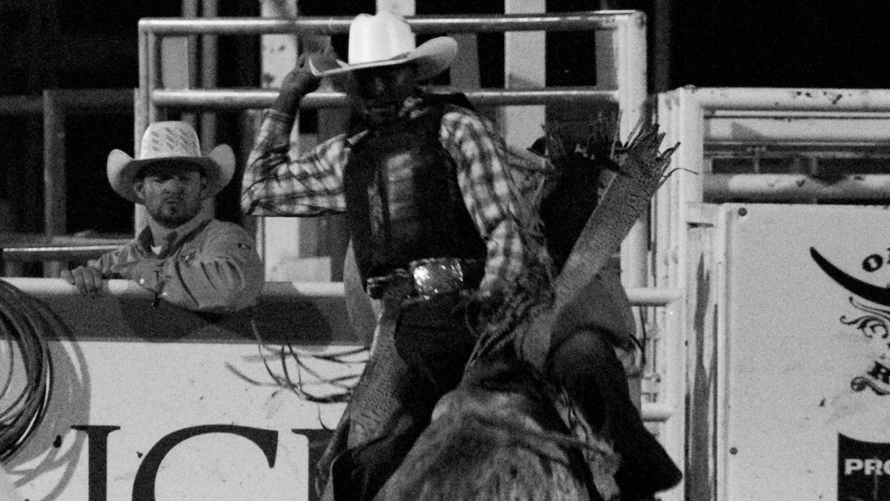 Bull Rider-Alexia Oldini, Steven Gray