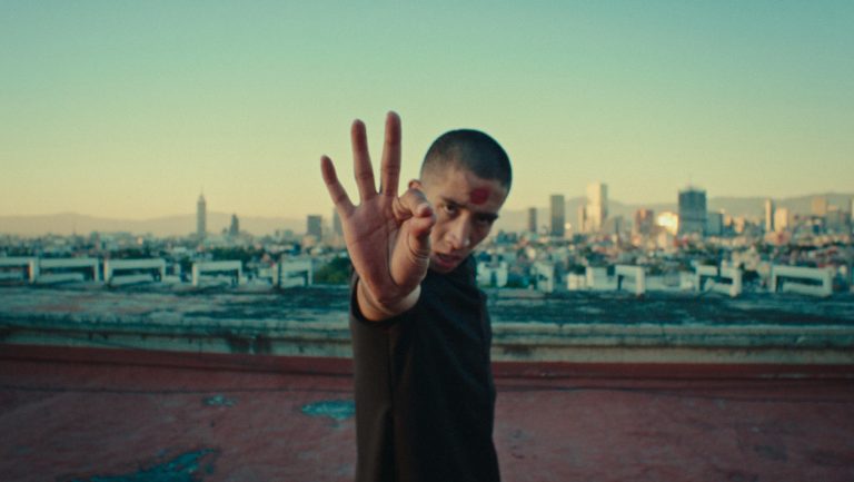 Read more about the article Dances for Camera 2024
