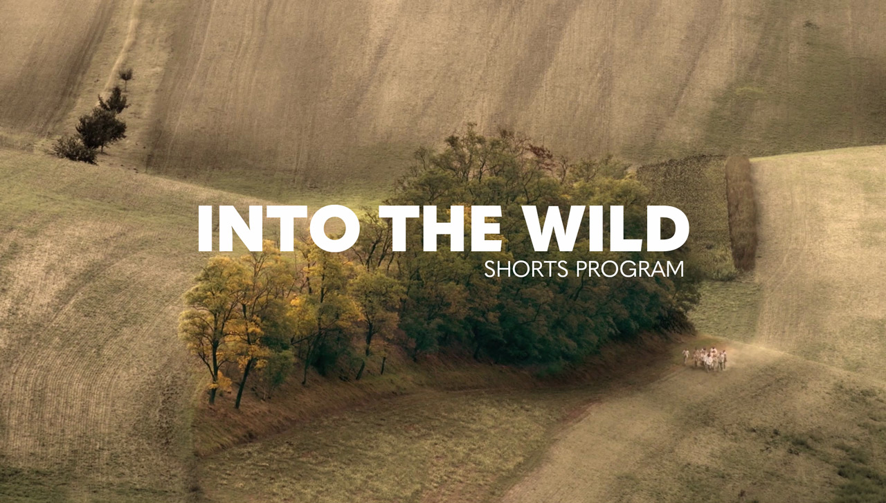Fibonacci by Tomáš Hubáček from Into the Wild Shorts Program at SFDFF 2021
