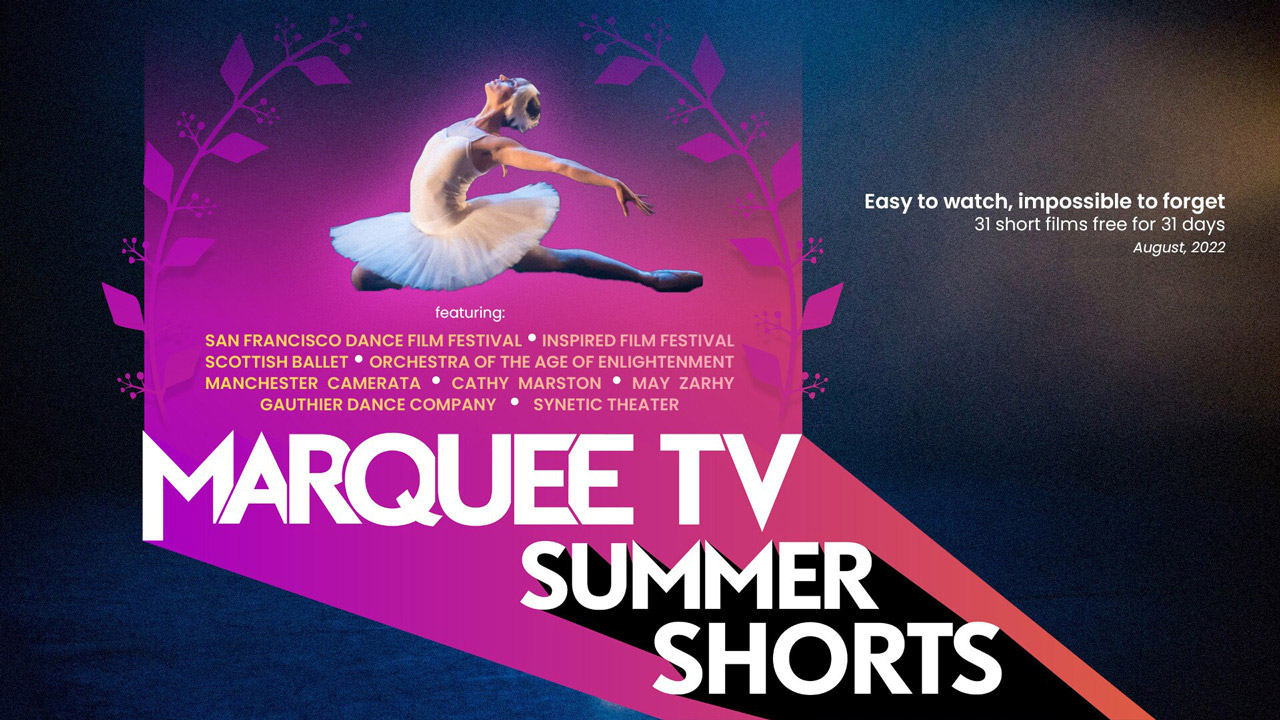 Marquee TV summer shorts 2022 festival sfdff image