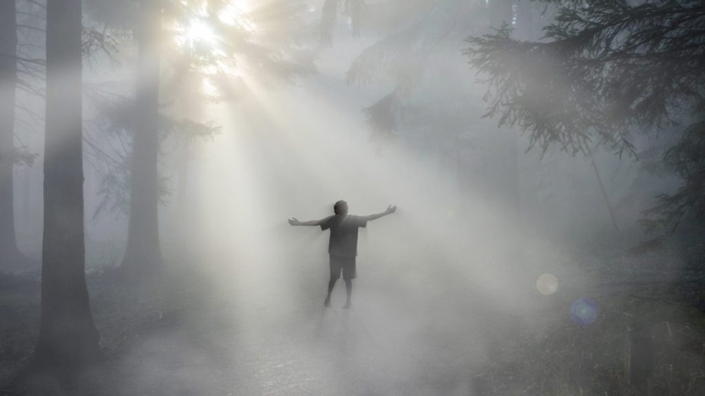 Morning Dance Michael Saul SFDFF 2023
