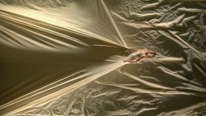 Tall bird's eye view of a person wearing a beige colored dress that extends all the way to the edges of the frame on all sides of the image. They lean back and hold the dress, pulling it taut.