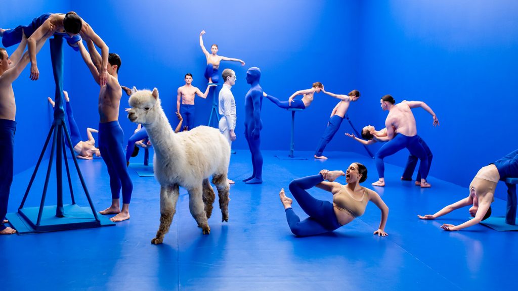 Scottish Ballet dancers in Sophie Laplanes Dive at SFDFF 2021. Photo: Andy Ross