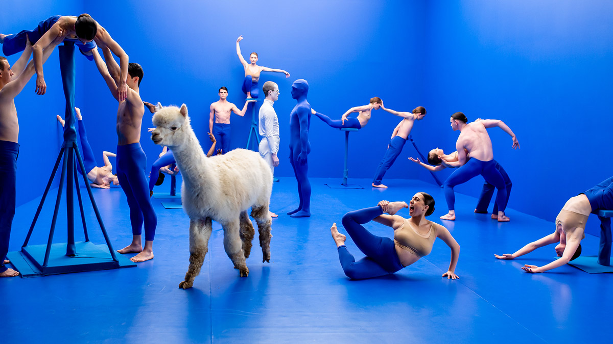 Scottish Ballet dancers in Sophie Laplanes Dive at SFDFF 2021. Photo: Andy Ross