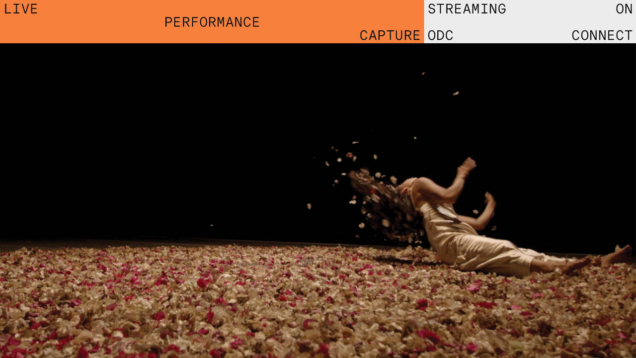 SFDFF 2023 Streaming Live Performance Capture