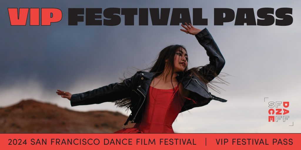 Graphic for VIP Festival Pass