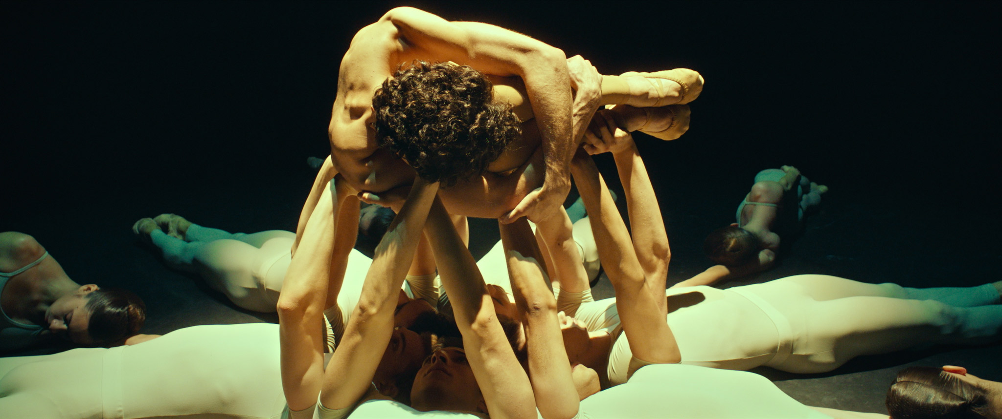 A male dancer hunched in fetal position being held up by other dancers laying on a stage. His face cannot be seen