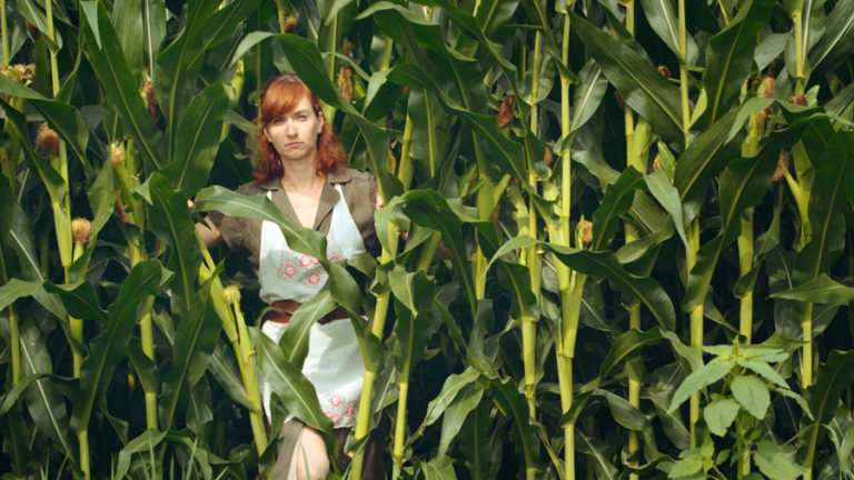 Read more about the article The Wayward Wind